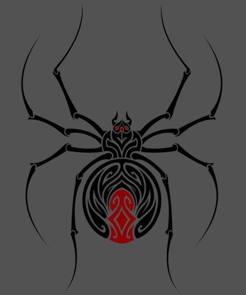 Паук на черном фоне