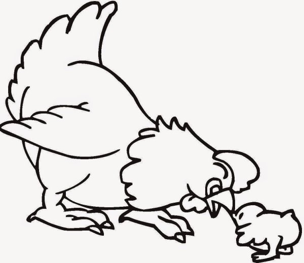 Раскраска курица с цыплятами