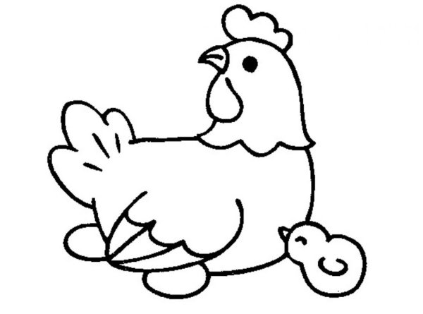 Курица раскраска для детей