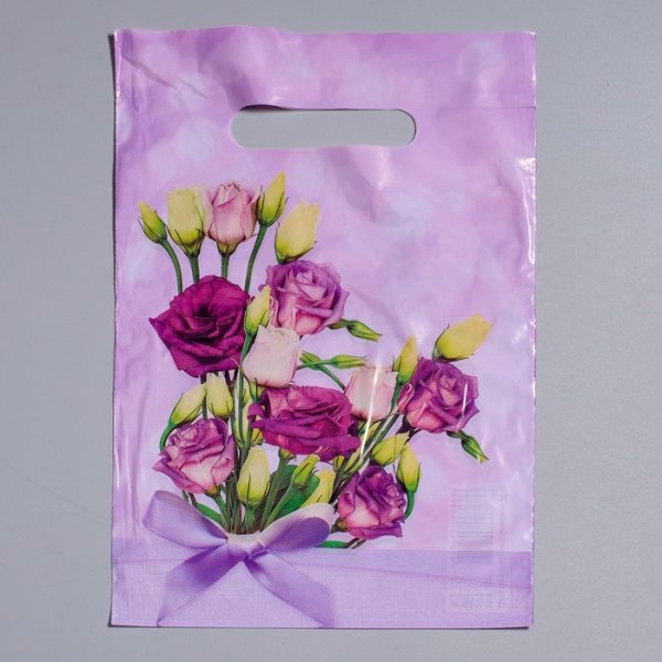 Пакет с вырубной неусиленной ручкой 20х30(35) ( Клевер)