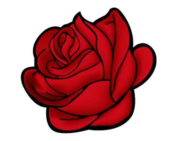 Роза рисунок