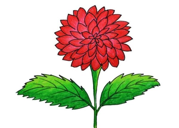 Георгин рисунок для детей