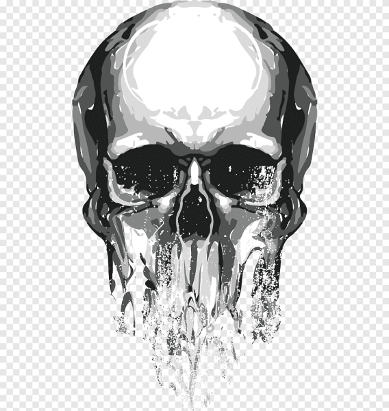 Прозрачный череп