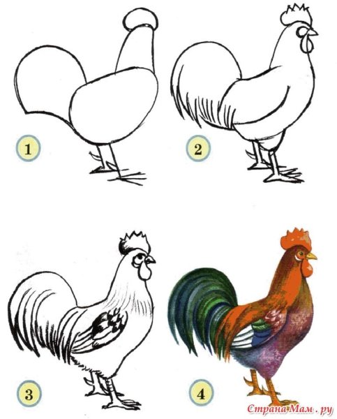 Декоративный петух раскраска