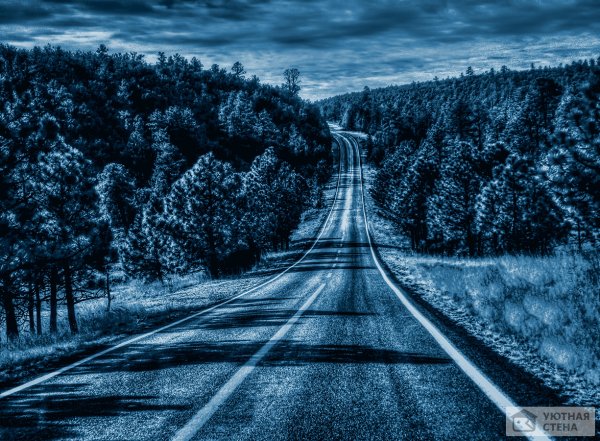 Дорога уходящая вдаль