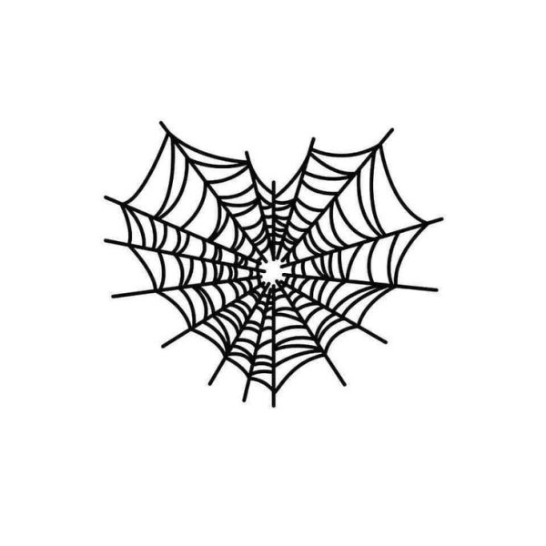 Спиралевидная паутина