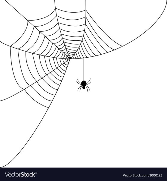 Паутинка раскраска