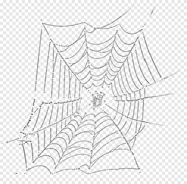 Паутина для детей