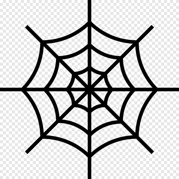 Паутина симметрия