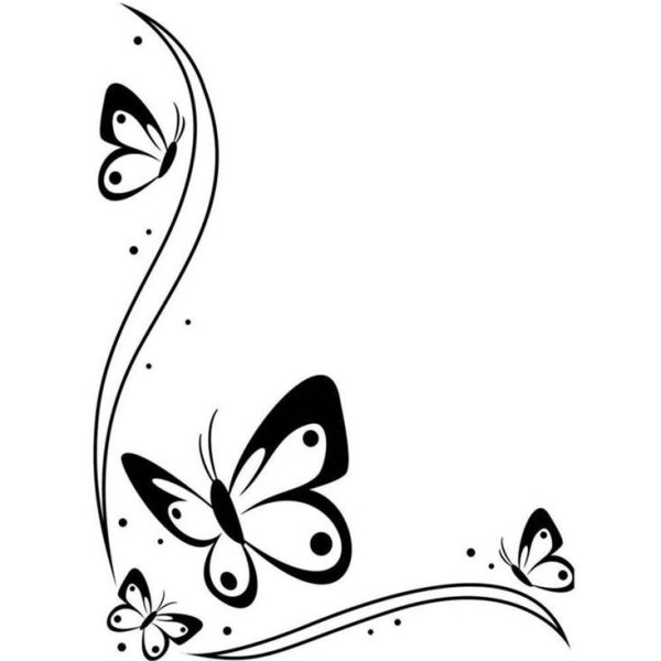 Узоры бабочки