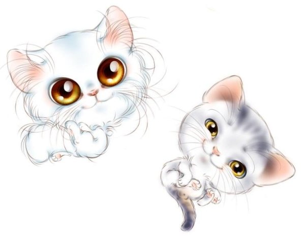 Котята для срисовки