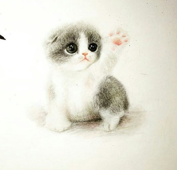 Раскраска кошечка