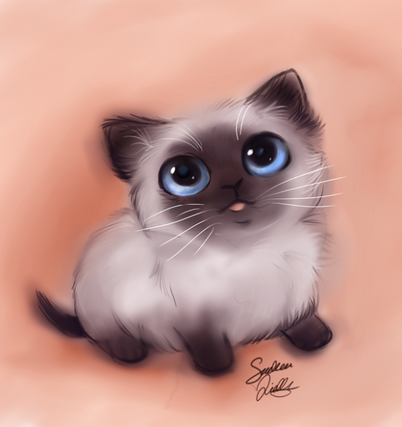 Кошка для срисовки маленькая