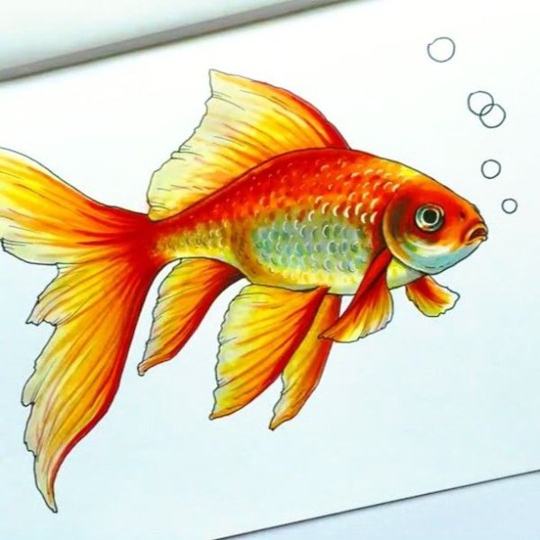 Золотая рыбка цветными карандашами