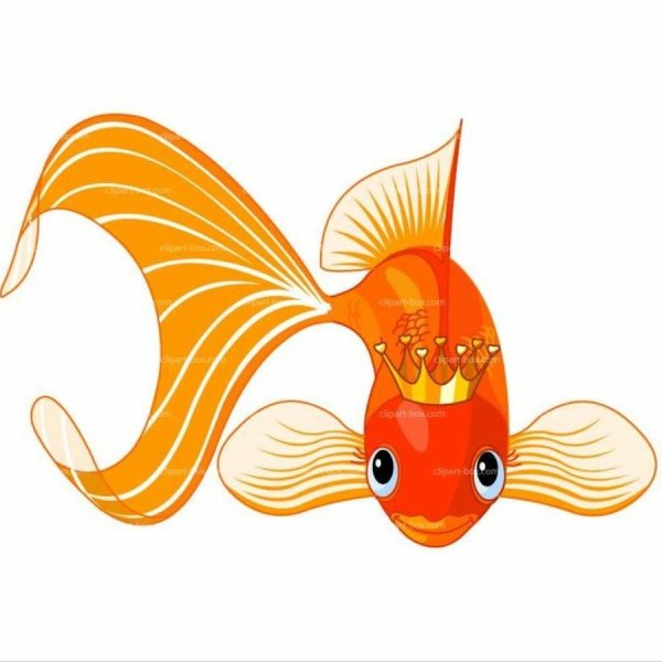 Золотая рыбка с короной