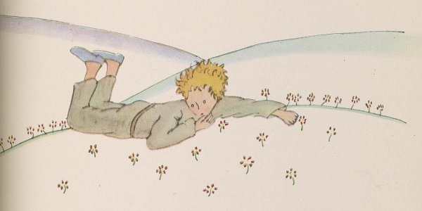 Маленький принц иллюстрации Экзюпери роза