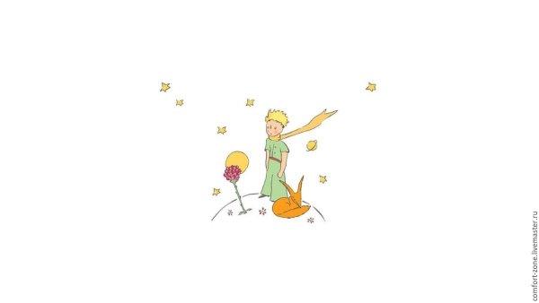 Маленький принц птицы