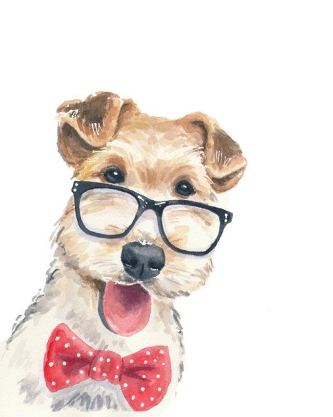 Смешные собаки акварелью