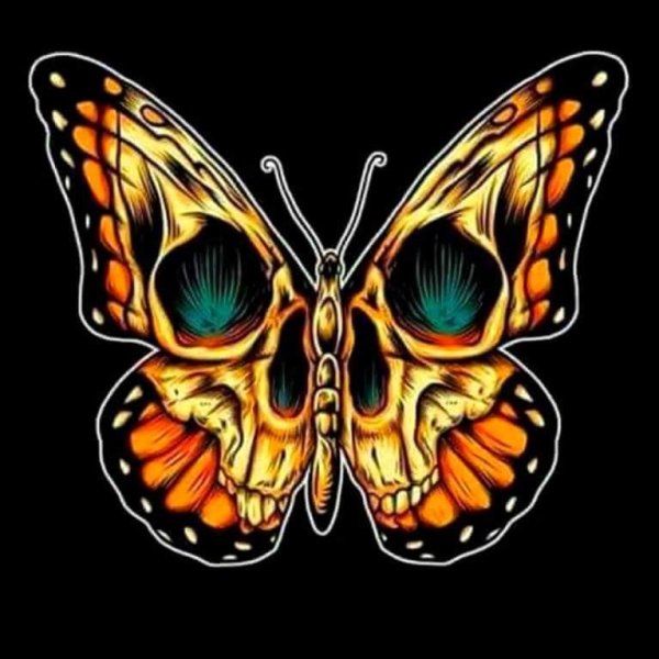 Мотылек с черепом