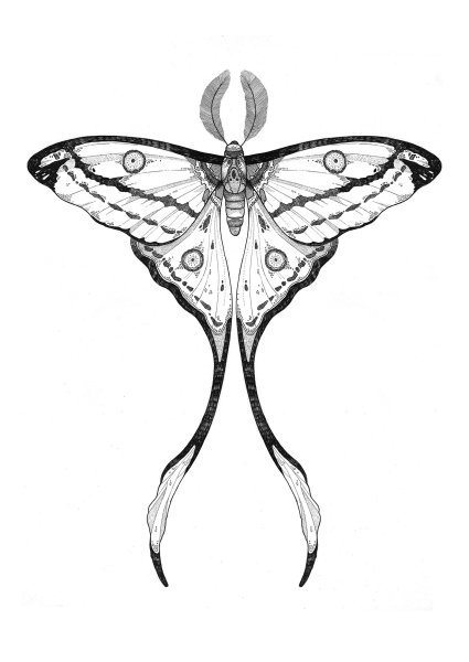 Мотылек тату эскиз