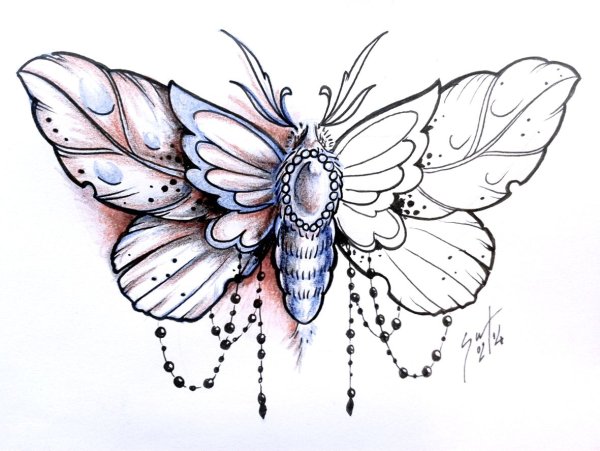 Мотылек эскиз