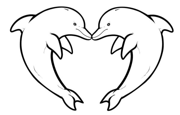 Два дельфина раскраска