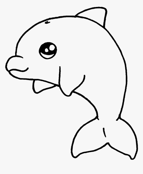 Раскраска Дельфин