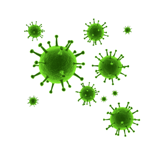 Коронавирус на прозрачном фоне