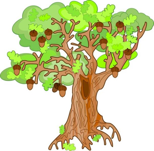 Изображение дуба для детей