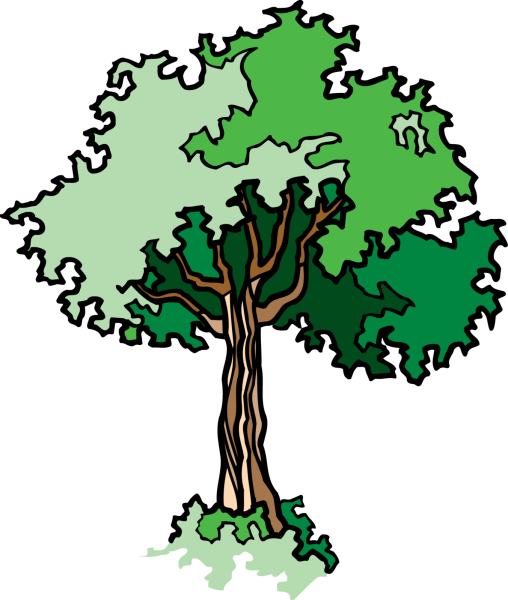 Дуб картинка для детей