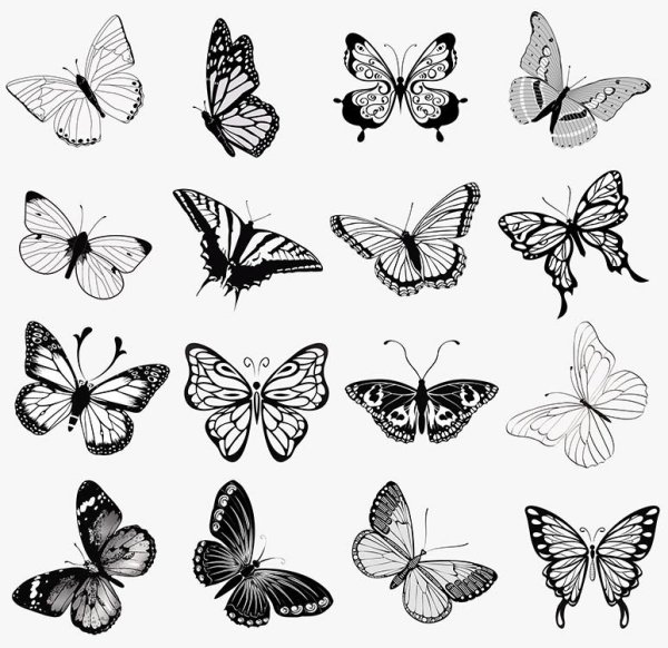 Татуировка бабочка эскиз