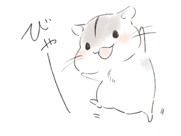 Джунгарский хомяк референс