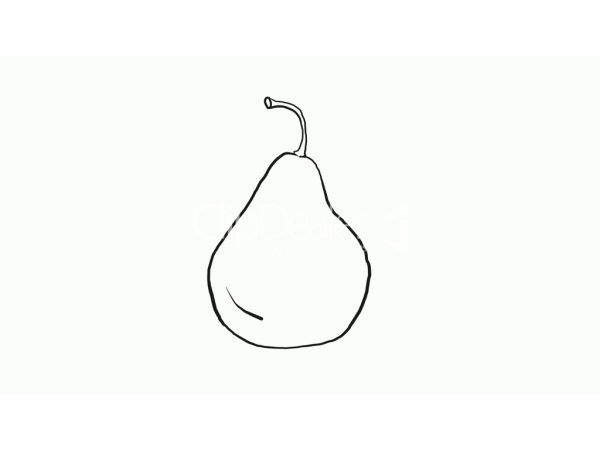 Груша схематично