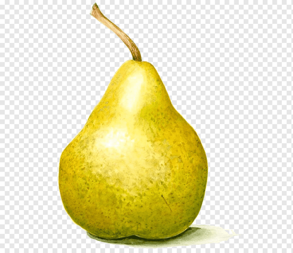 Раскраски для самых маленьких груша