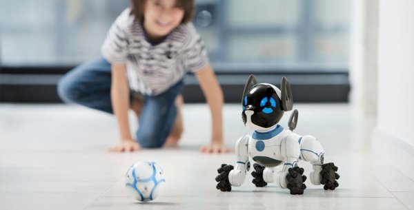 Тедди медведь raskraska