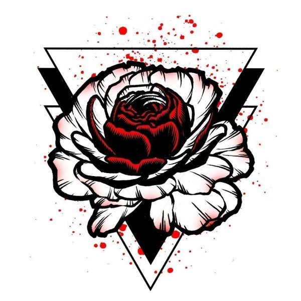 Роза карандашом