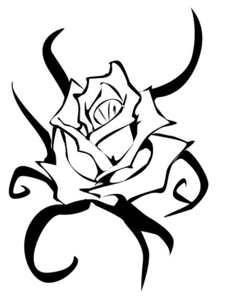 Тату роза с шипами