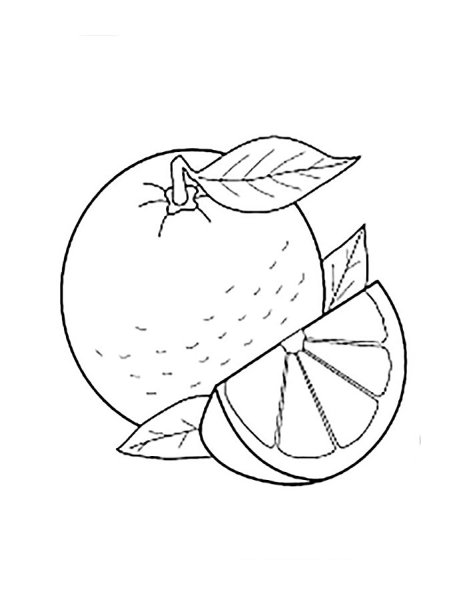 Фрукты. Раскраска