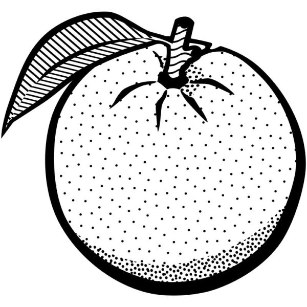 Апельсин раскраска