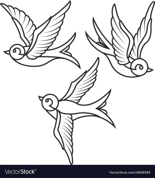 Маленькие птицы d GJKTT раскраска