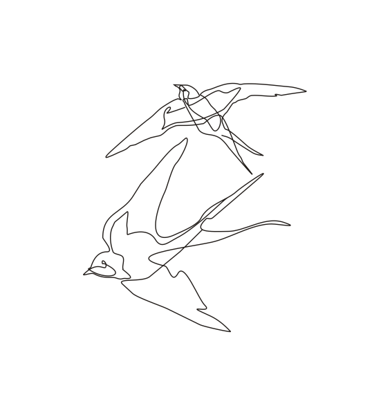 Ласточка раскраска