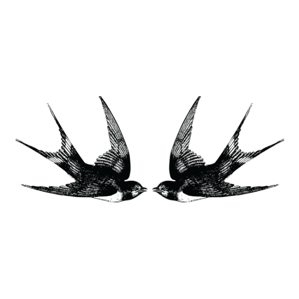 Две ласточки