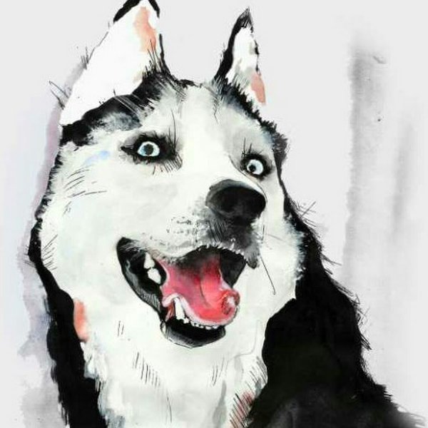 Художники из лайка