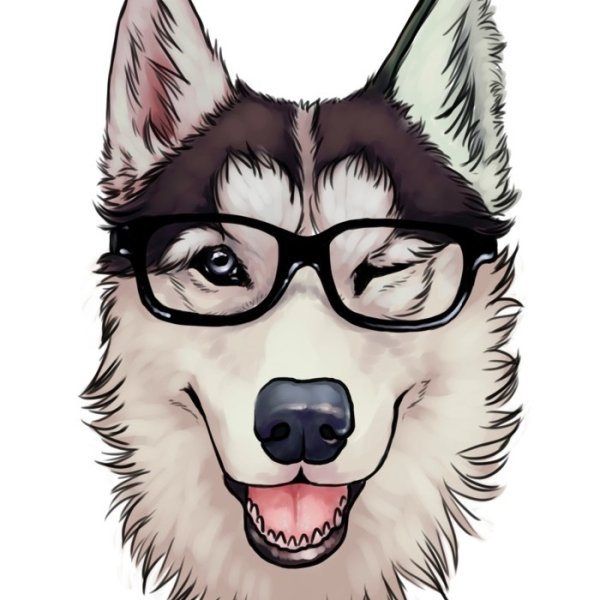 Крутые хаски