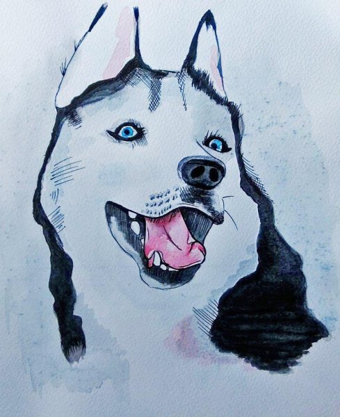 Хаски акварелью
