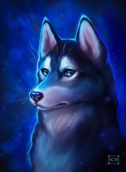 Сибирский хаски