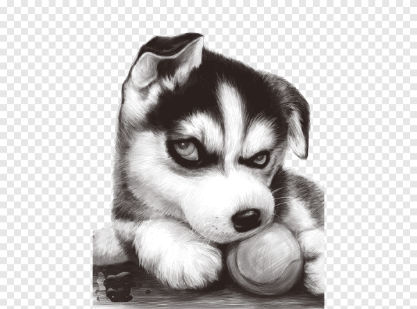 Хаски мультяшные