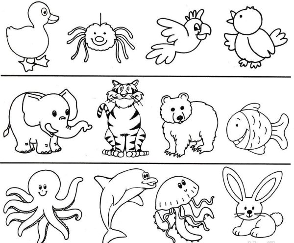 Раскраска рыбка