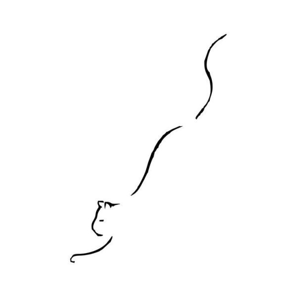 Тату кошка одной линией