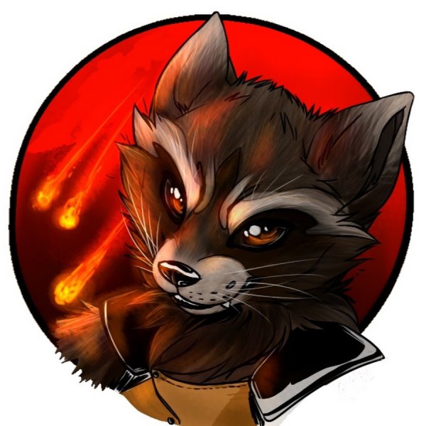 Аватар енот